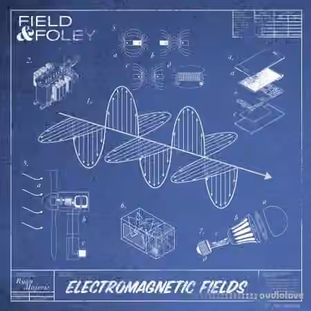 Field and Foley Electromagnetic Fields [WAV]