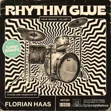 Florian Haas Drums Rhythm Glue Drum Breaks Vol.2 [WAV]