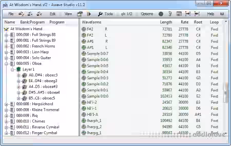 FMJ-Software Awave Studio v12.11.0 [WiN]