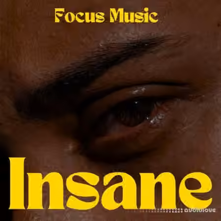 Focus Music Insane [WAV]