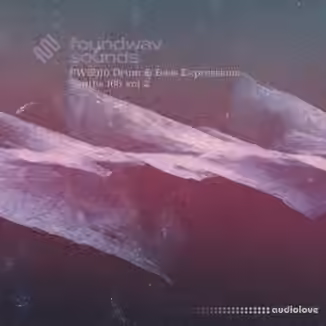 foundwav sounds FWS010 Drum and Bass Expressions Synths 160 Vol 2 [WAV]
