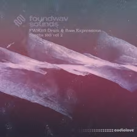 foundwav sounds FWS010 Drum and Bass Expressions Synths 160 Vol 2 [WAV]
