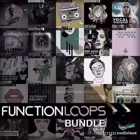 Function Loops BUNDLE 40 in 1 [WAV, MiDi, Synth Presets]
