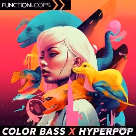 Function Loops Color Bass x Hyperpop [WAV]