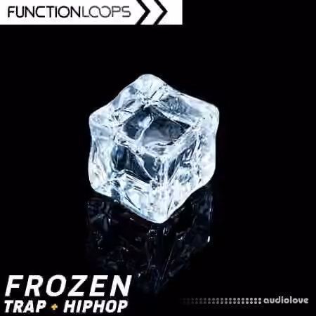 Function Loops Frozen  Trap and Hip Hop [WAV]