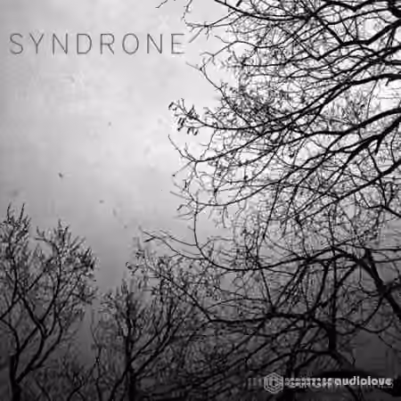 Glitchmachines SYNDRONE [WAV]