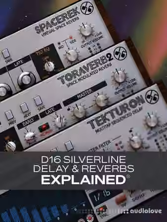 Groove3 D16 Silverline Delays and Reverbs Explained [TUTORiAL]