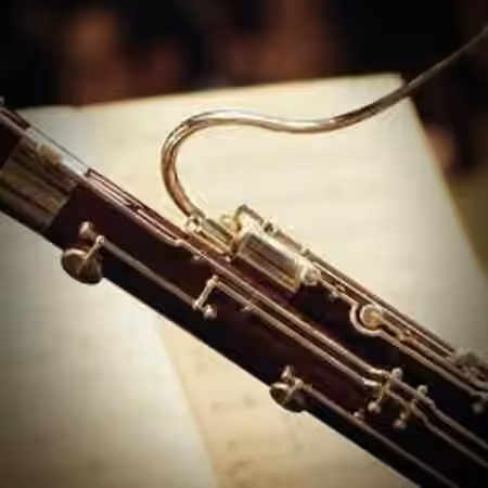 Imaginando FRMS Sounds Of Bassoon [Synth Presets]