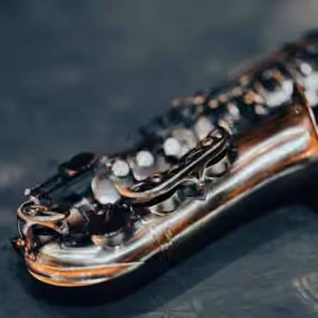 Imaginando FRMS Sounds Of Saxophone 2 [Synth Presets]
