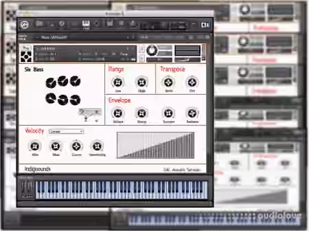 Indigisounds Steelpan Samples [KONTAKT]