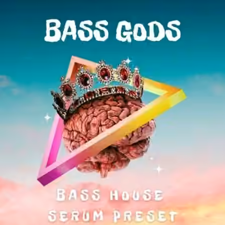 Infinity Audio Bass Gods Bass House Serum Presets [Synth Presets]