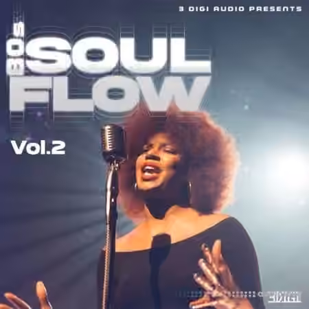 Innovative Samples 80's Soul Flow Vol.4 [WAV]