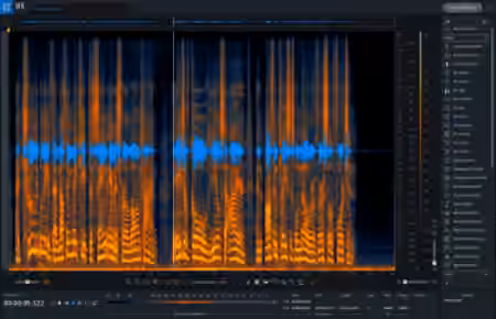 iZotope RX Pro for Music v9.1.0 [WiN]