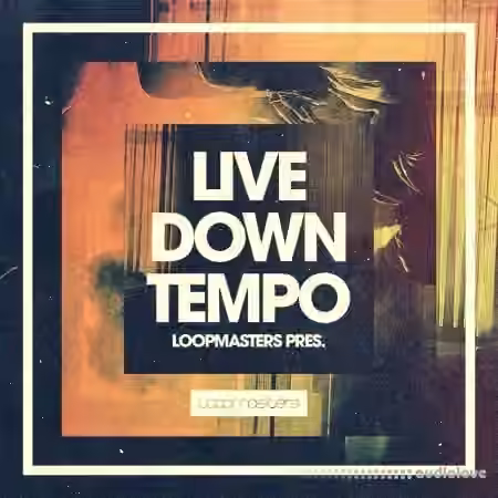 Loopmasters Live Downtempo [MULTiFORMAT]