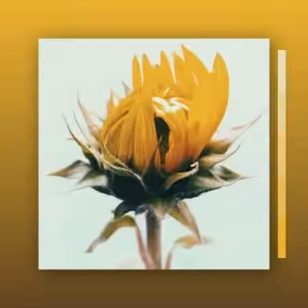 MarcDBeats Passion [WAV]