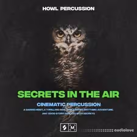 Montage By Splice Secrets In The Air Cinematic Percussion [WAV]