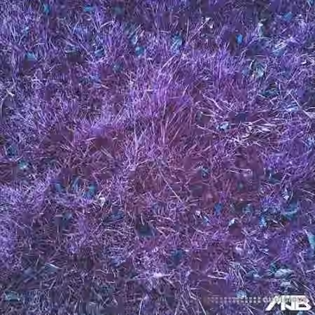 MrJonnyBatch Tribal House [WAV]
