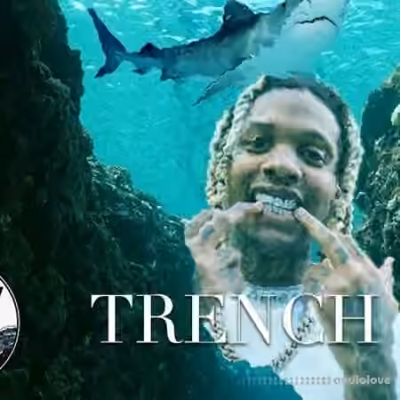 Nile Waves Trench Punch Vol.1 [MiDi]