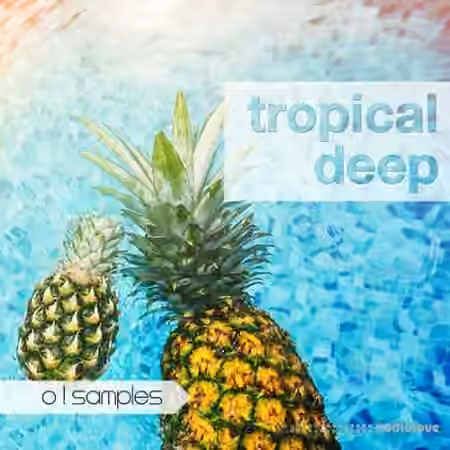O! Samples Tropical Deep [WAV, MiDi]