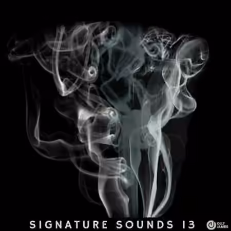 Olly James Signature Sounds Vol.13 [WAV, MiDi]