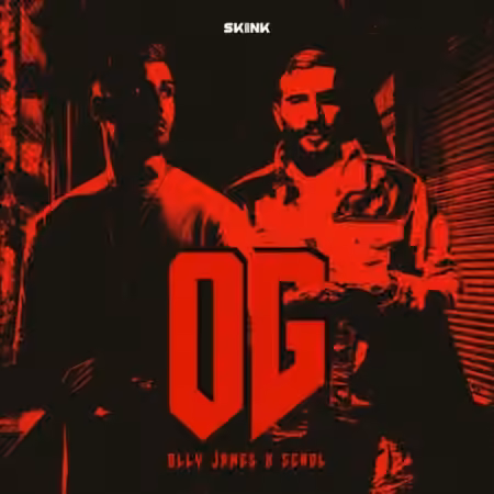 Olly James Signature Sounds Vol.31 OG [WAV, MiDi]