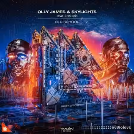 Olly James Signature Sounds Vol.45 Old School [WAV, MiDi]