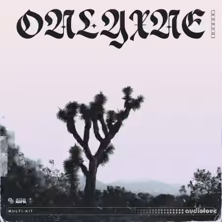 Onlyxne 808 Mafia Multi-Kit 0002 [WAV, Synth Presets]