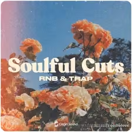 Origin Sound Soulful Cuts [WAV, Synth Presets]