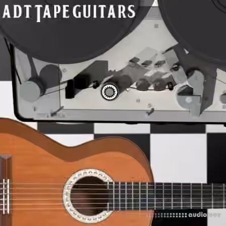 Past To Future Samples ADT Guitars [WAV]