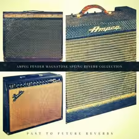 PastToFutureReverbs Ampeg Fender Magnatone Tube Amp Spring Reverb Collection!