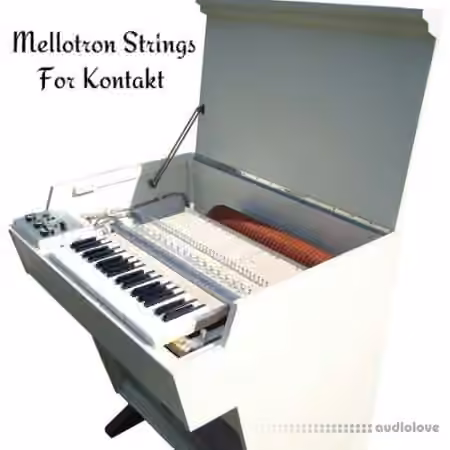 PastToFutureReverbs Mellotron Strings [KONTAKT]