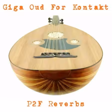 PastToFutureReverbs Oud For KONTAKT! [KONTAKT, WAV]