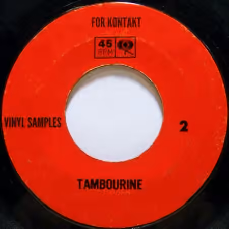 PastToFutureReverbs Vinyl Tambourine Vol.2 For Kontakt! [KONTAKT]