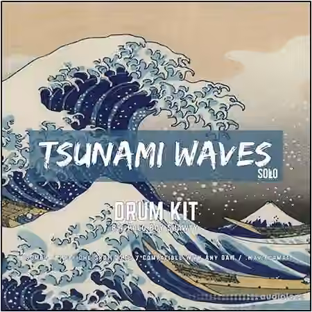 Polo Boy Shawty Tsunami Waves (Drum Kit) [WAV]