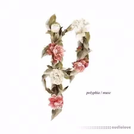 Polyphia Muse Guitar Tabs