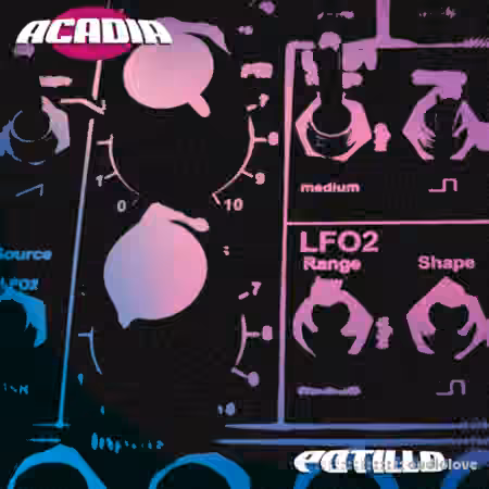 Potillo Acadia Library Analog Lab Bank [Synth Presets]