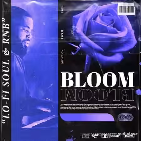 Prime Loops BLOOM RnB Soul Keys [WAV]