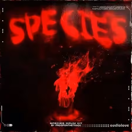 ProofOnTheTrack Spicies Drum Kit [WAV, MiDi]
