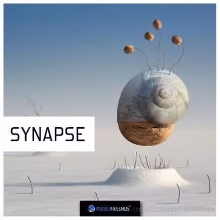 Pulsed Records Synapse [WAV]