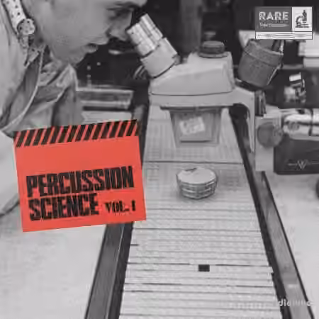 RARE Percussion Percussion Science Vol.1 [WAV]