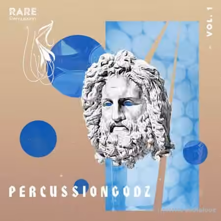 RARE Percussion PercussionGodz Vol.1 [WAV]