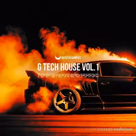 Rasster Samples G Tech House Vol 1 [WAV, MiDi, Synth Presets]