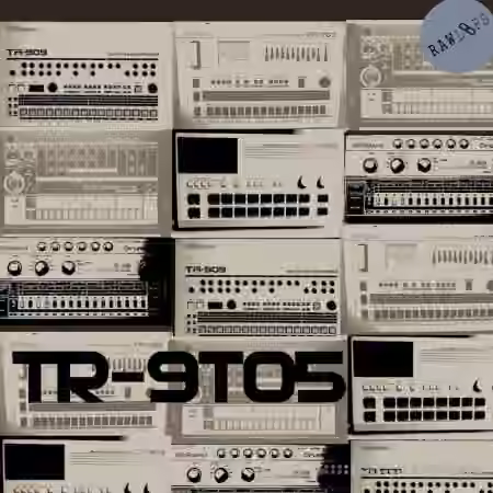 RAW LOOPS TR-9to5 Drum Hits [WAV]
