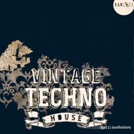 RAW LOOPS Vintage Techno House [WAV]