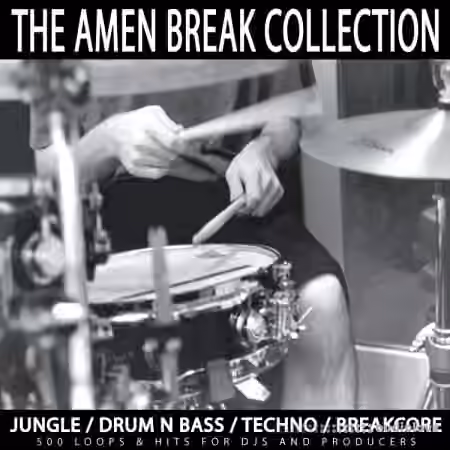 R.A.W. The Amen Break Collection [WAV, REX, AiFF]