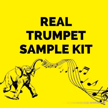Real Trumpet Sample Kit [WAV]