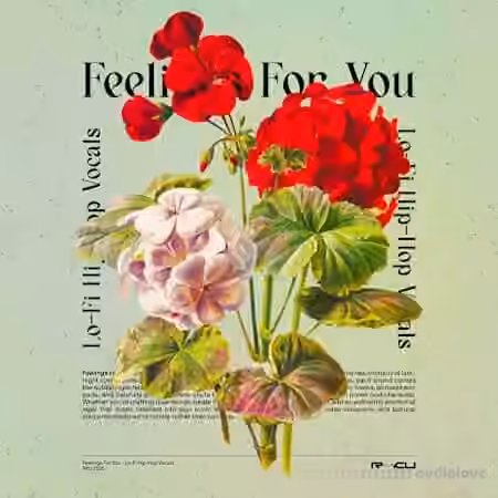 Renraku Feelings For You - Lofi Vocals [WAV]