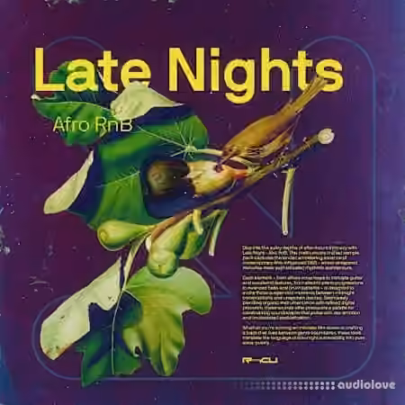 Renraku Late Nights - Afro Rnb [WAV]
