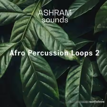 Riemann Kollektion ASHRAM Afro Percussion Loops 2 [WAV]