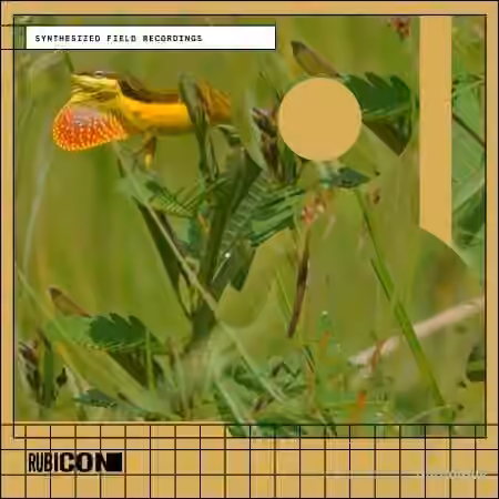 Rubicon Synthesized Field Recordings [WAV]